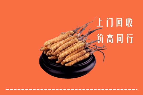 高价求购：荆州县回收散虫草