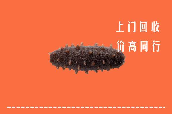 高价求购：荆州县回收海参