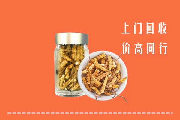 荆州县回收冬虫夏草