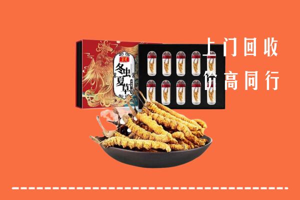 荆州县回收虫草